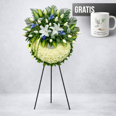 producto